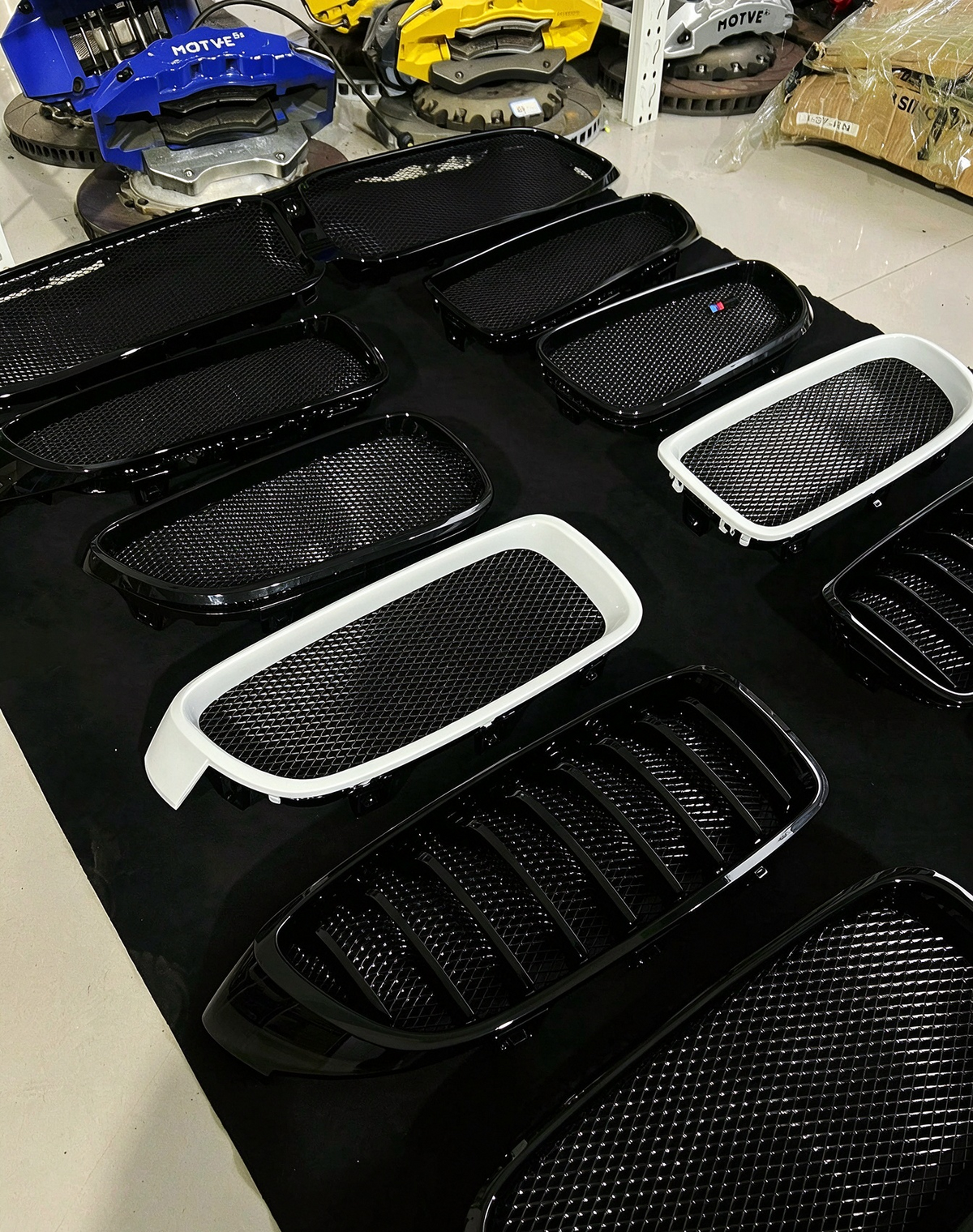 BMW custom grille