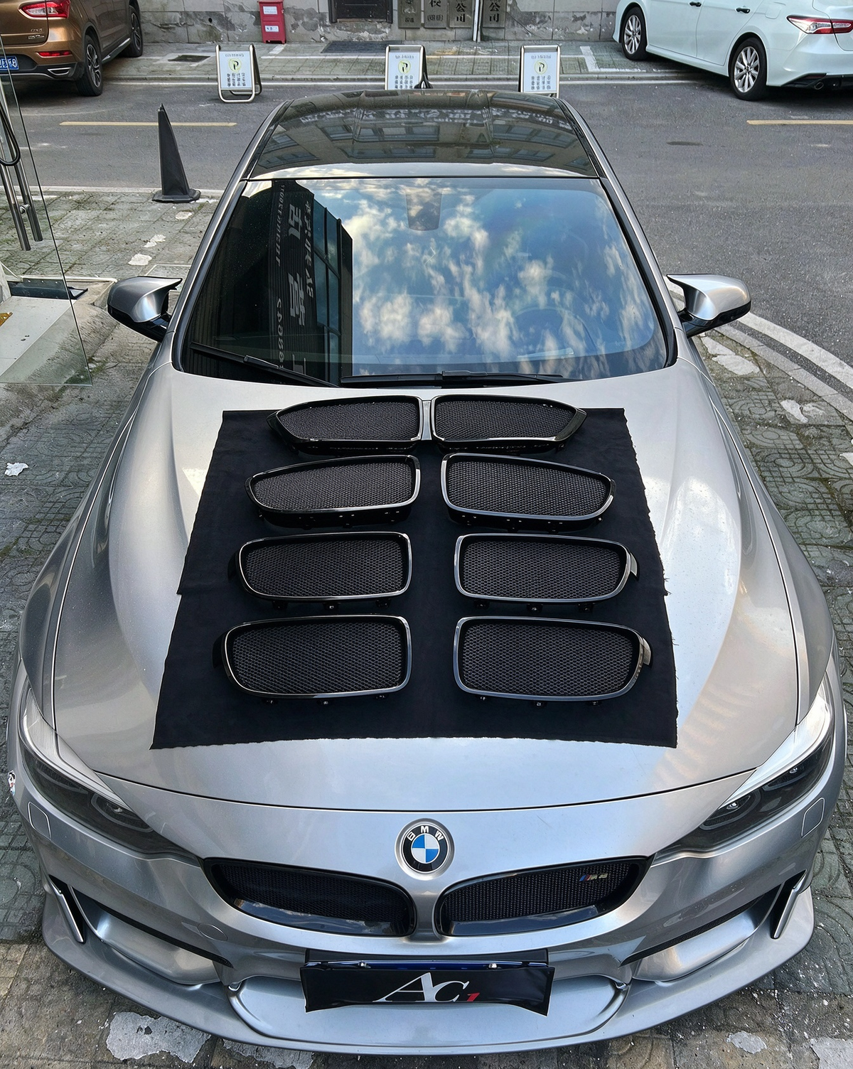 BMW custom grille