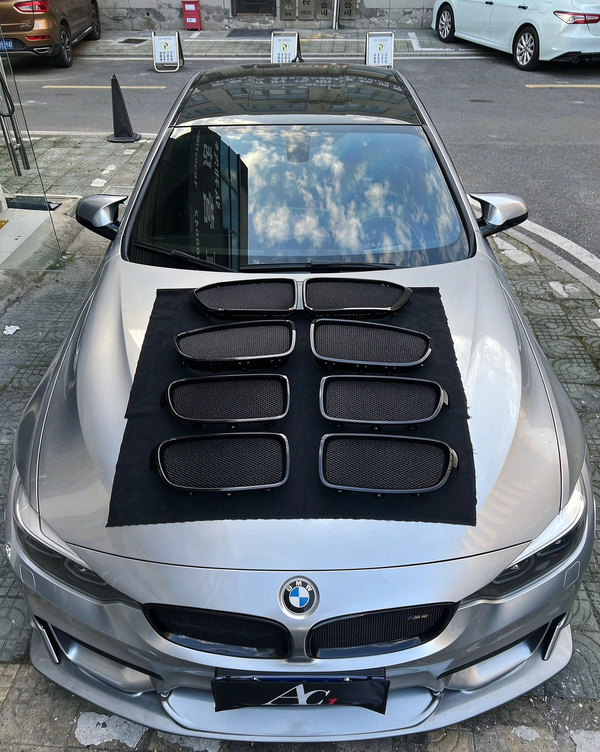 BMW custom grille